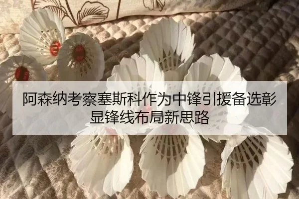 阿森纳考察塞斯科作为中锋引援备选彰显锋线布局新思路
