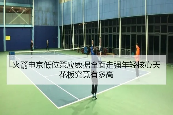 火箭申京低位策应数据全面走强年轻核心天花板究竟有多高