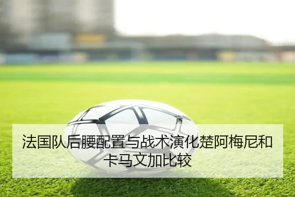 法国队后腰配置与战术演化楚阿梅尼和卡马文加比较