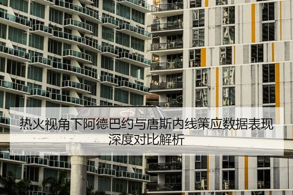 热火视角下阿德巴约与唐斯内线策应数据表现深度对比解析